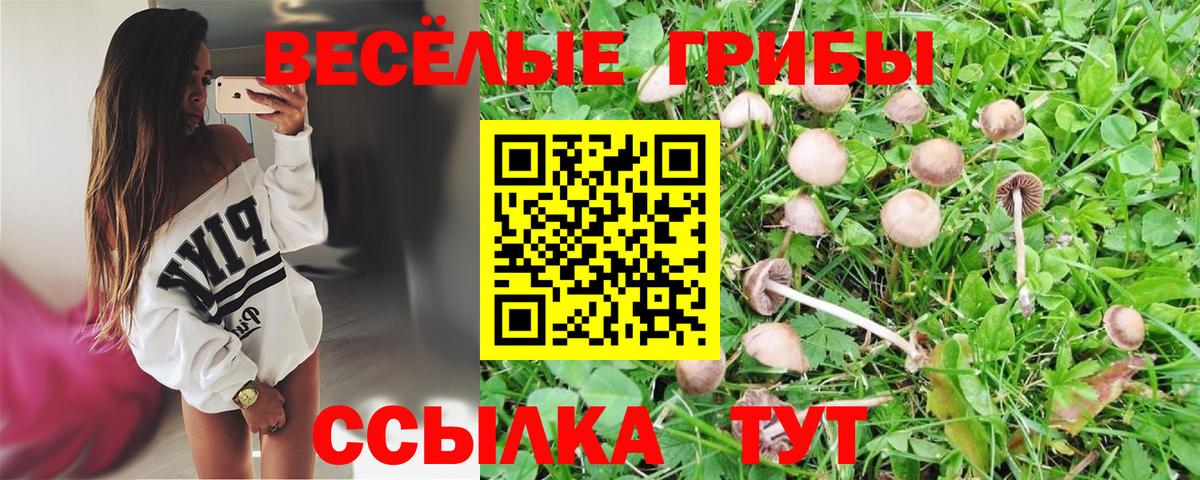 Южно-Сахалинск  Галлюциногенные грибы Psilocybe  Вход с VPN 